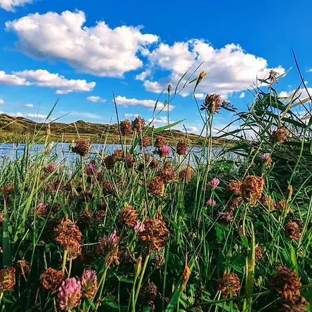 Ferienhaus 4 Person In