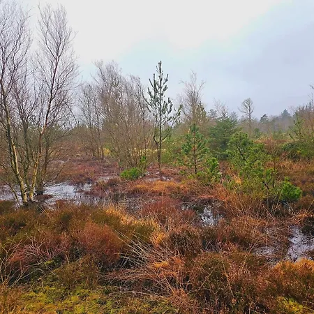 Feriehus 4 Person In