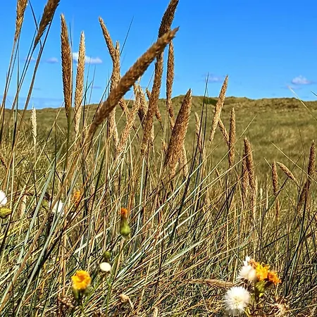 Feriehus 4 Person In *