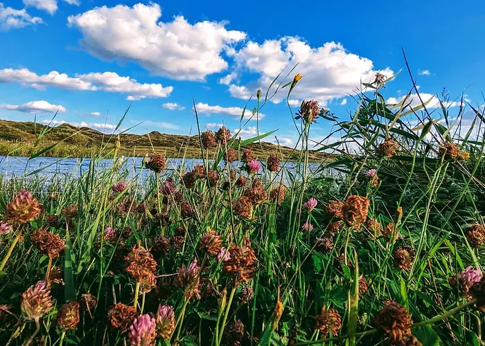 Ferienhaus 4 Person In