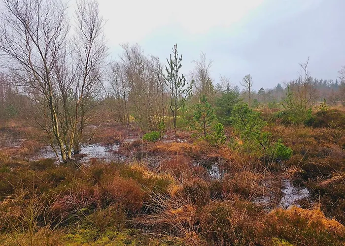 Ferienhaus 4 Person In