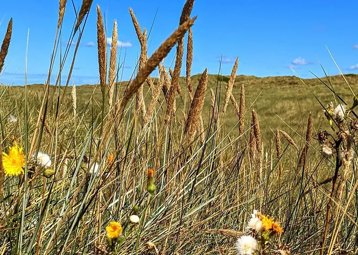 Ferienhaus 4 Person In *