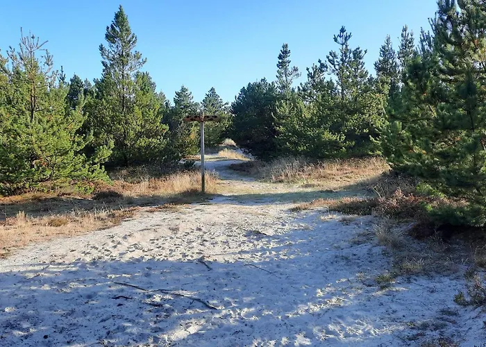 4 Person In Ferienhaus *